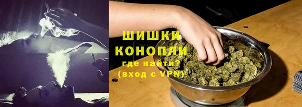 гидра Надым